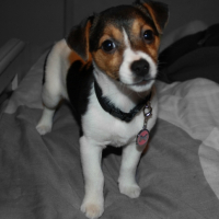 Photo #255123 de Meyli