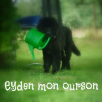 Photo #255143 de Eyden