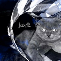 Photo #255187 de jack