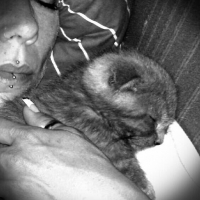 Photo #255188 de jack