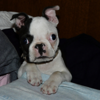 Photo #255195 de jo