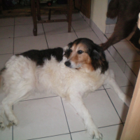 Photo #255244 de praline