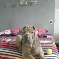 Photo #255319 de MADO