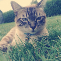 Photo #255422 de Mickey