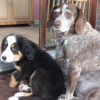 Photo #255506 de Loukia