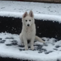 Photo #255661 de Jana