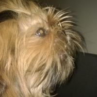 Photo #255721 de Jayleen