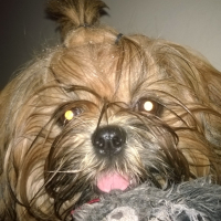 Photo #255723 de Jayleen