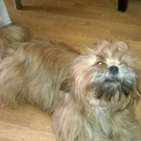 Photo #255726 de Jayleen