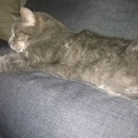 Photo #255741 de Mimi