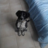 Photo #255815 de Filou 