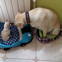 Photo #255836 de Kira