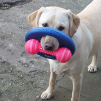 Photo #255841 de Kira