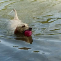 Photo #255842 de Kira