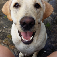 Photo #255843 de Kira