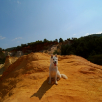 Photo #255939 de Jessie