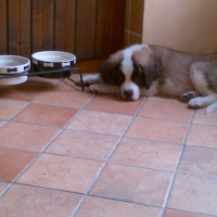 Photo #255949 de Leeroy