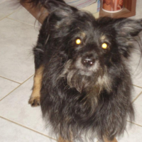 Photo #256021 de loucka