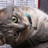 Photo #256266 de Eiko