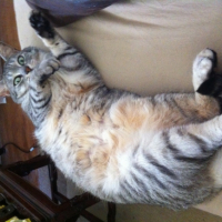 Photo #256267 de Eiko