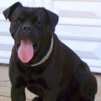 Photo #256284 de Juba
