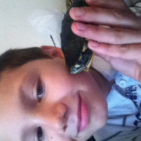 Photo #256317 de Raphaello