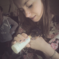 Photo #256409 de Simba