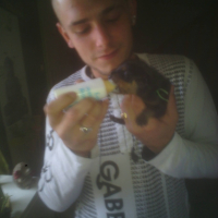 Photo #256412 de Simba