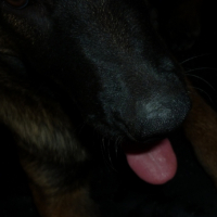 Photo #256433 de Neika