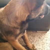 Photo #256436 de Neika