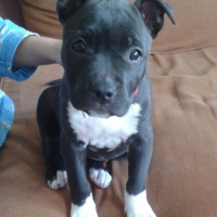 Photo #256458 de LETY
