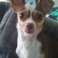 Photo #256553 de Nuts