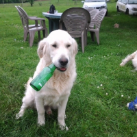 Photo #256556 de Django