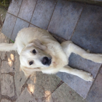Photo #256557 de Django