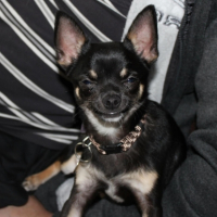 Photo #256575 de Jules