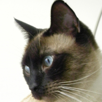 Photo #256639 de FILOU