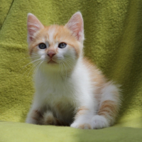 Photo #256657 de ARCHIMEDE