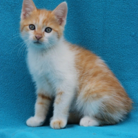 Photo #256658 de ARCHIMEDE