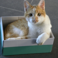 Photo #256659 de ARCHIMEDE