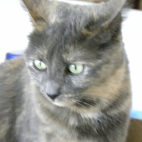 Photo #256666 de GAIA