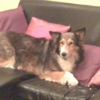 Photo #256670 de dora