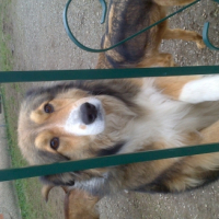Photo #256672 de dora