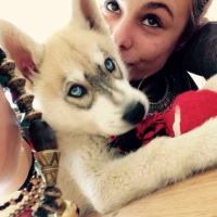 Photo #256703 de Nùko