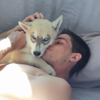 Photo #256706 de Nùko