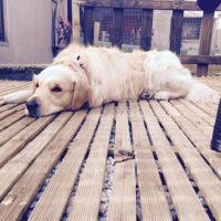 Photo #256819 de Eiko 