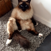 Photo #256828 de Samy
