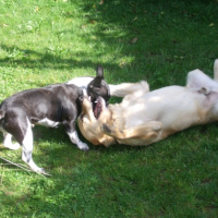 Photo #256939 de Chopin