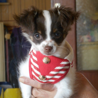 Photo #257039 de Paco
