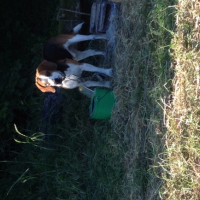 Photo #257041 de Sky