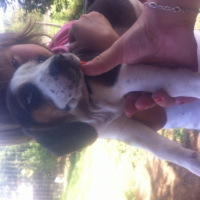 Photo #257044 de Sky